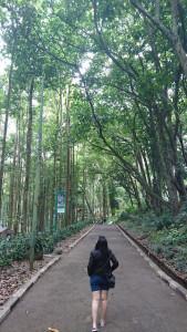 1638096809-6134-DSC-3607