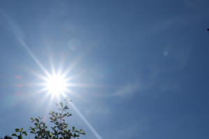 1638096777-3148-HMSF0131