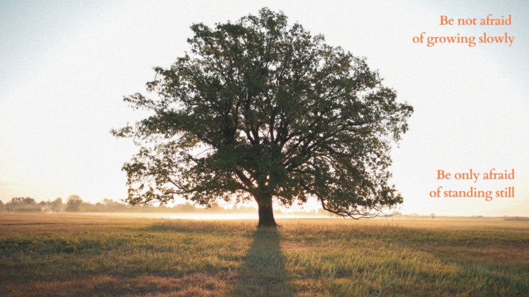 Bertumbuh Perlahan, Berakar yang Kuat